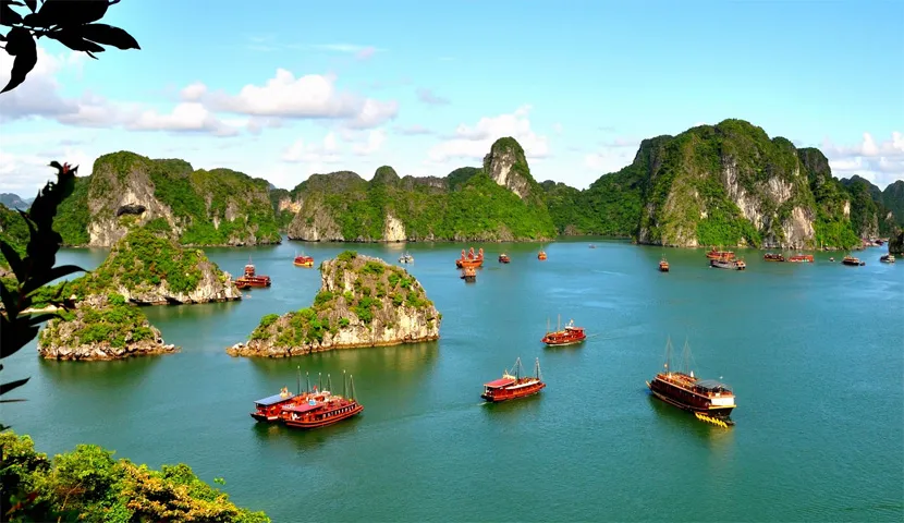 Travel to visit Vietnam in May