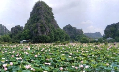 Mua  Cave Ninh Binh