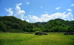 Mai Chau