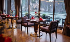 Stellar of the Seas Cruise