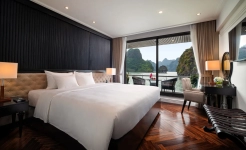 Stellar of the Seas Cruise