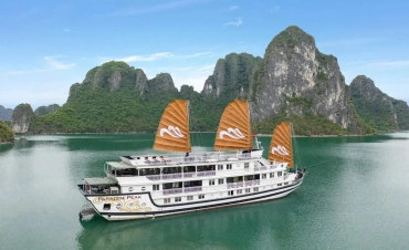 Paradise Peak Cruise - Halong Bay 3 Days 2 Nights