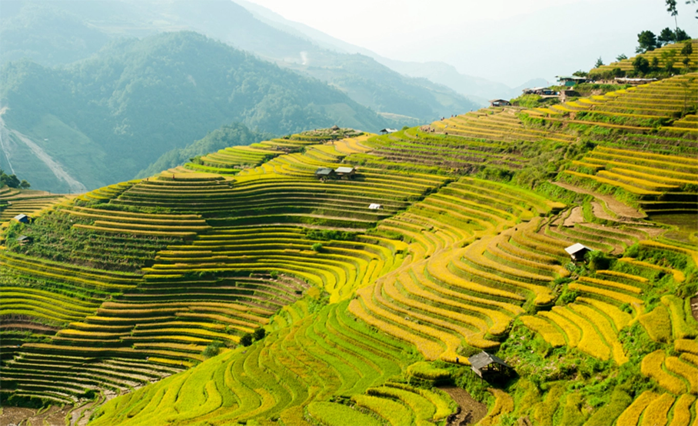 Mu Cang Chai & Sapa Tour: Rice Terraces & Trekking